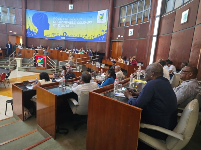 Plénière Conseil Régional