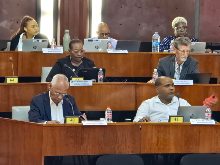 Plénière Conseil Régional