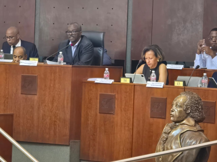 Plénière Conseil Régional