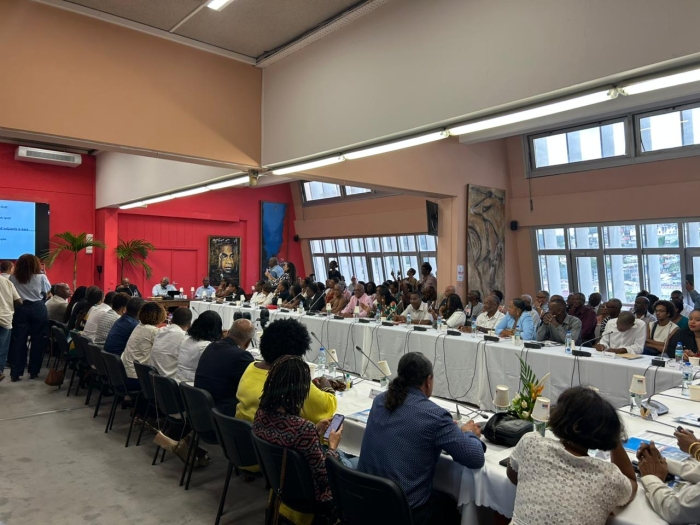 conseil municipal installation fort-de-France