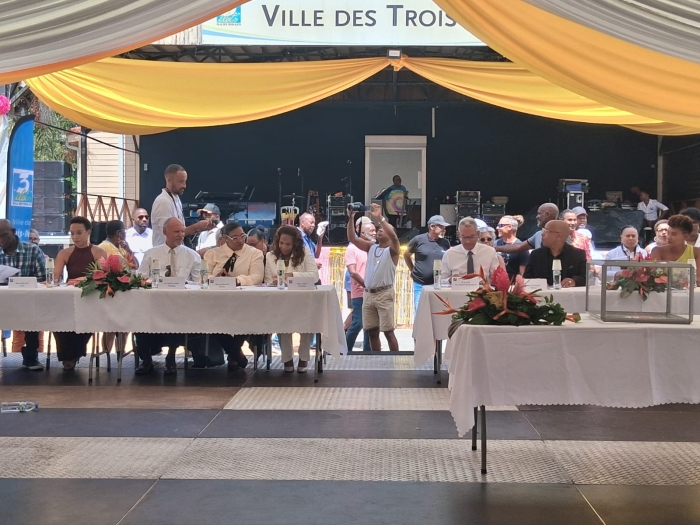 conseil municipal Trois-Îlets