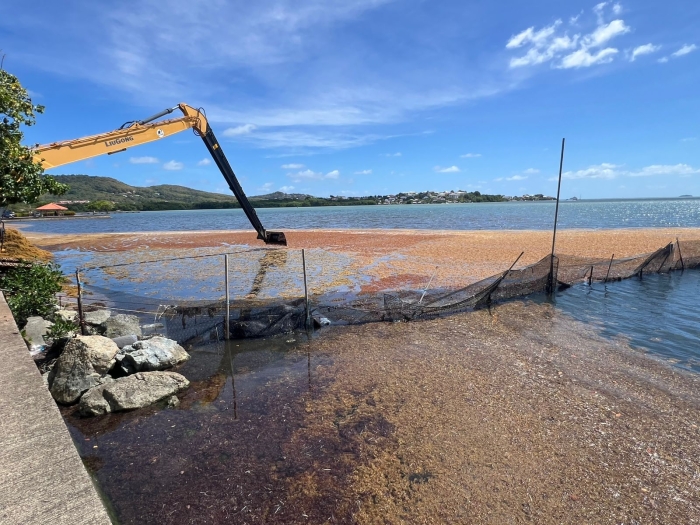 pelle mécanique sargasses Robert