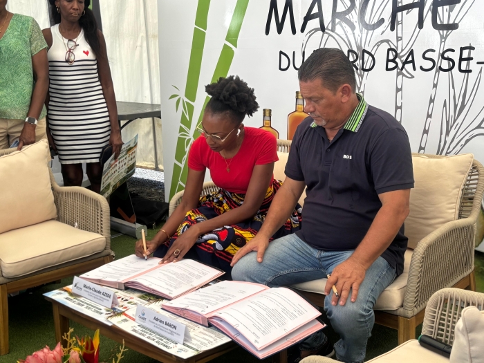marché bio nord Basse-Terre