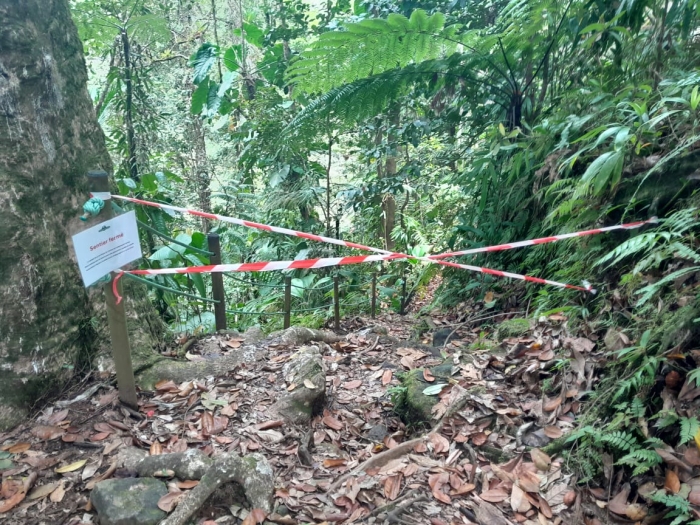 Plateforme chute du carbet