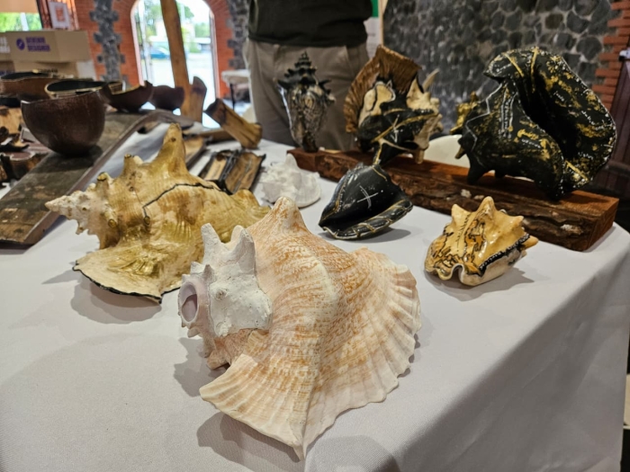 salon du design