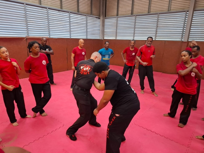 krav maga
