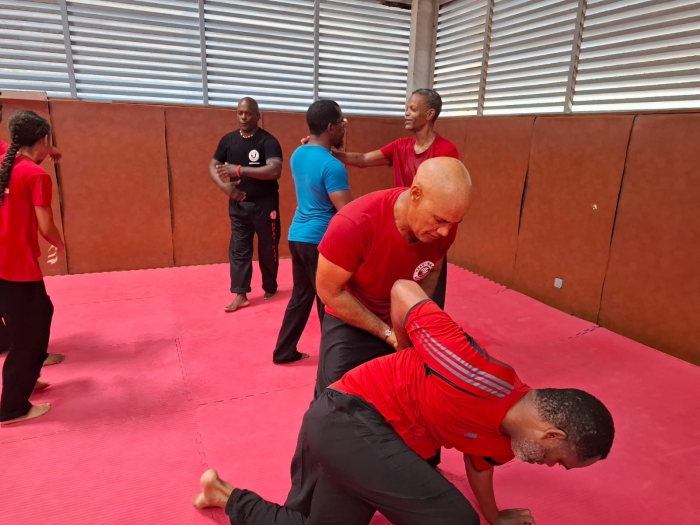 krav maga