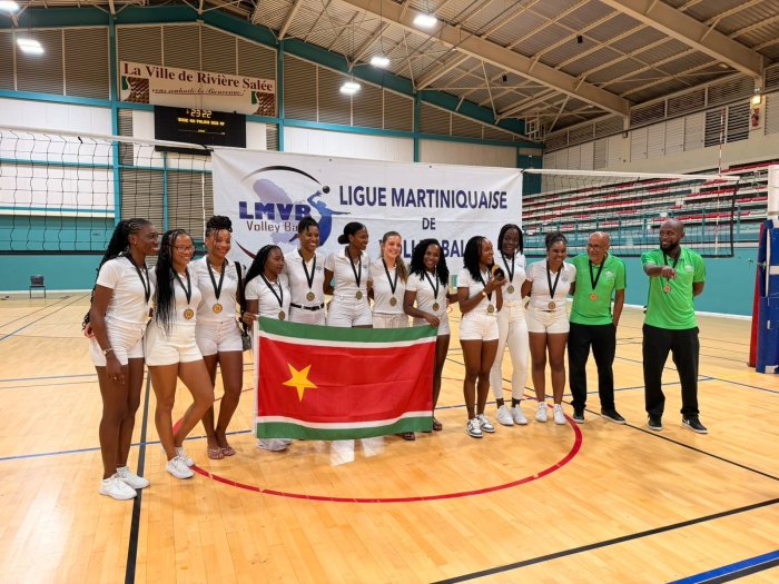 VOLLEY-BALL (F), Rayon - Fumerolles