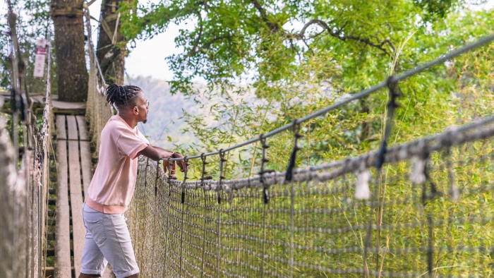 jardin-balata-canopee-visiteur