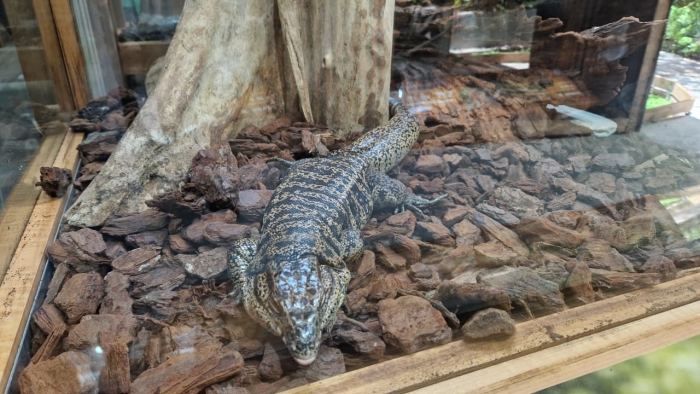 insectarium