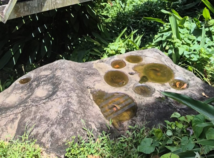 polissoir Macouba