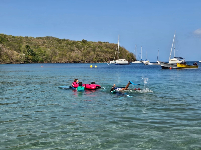 Grande Anse aux Anses-d'Arlet