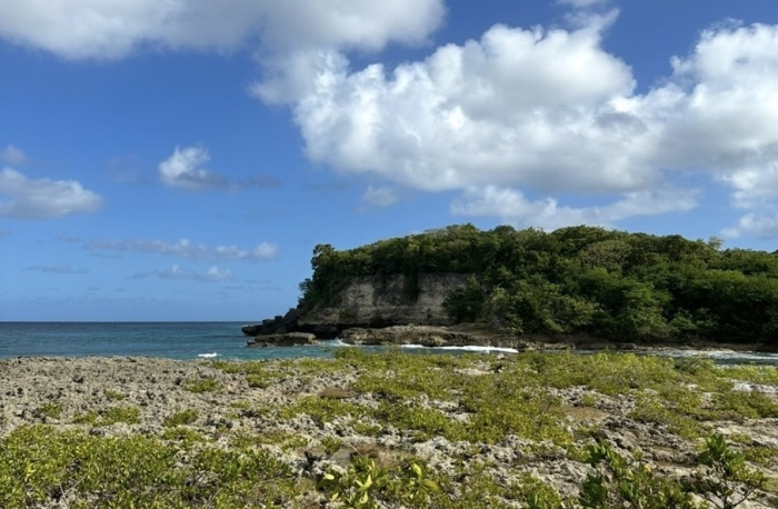 pointe d'antigue