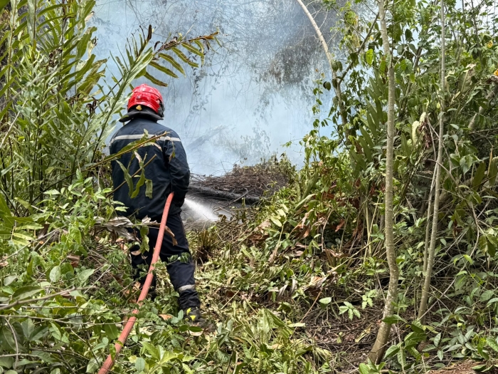 pompiers incendie mangrove