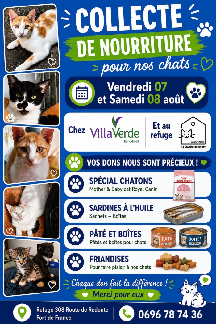 collecte refuge de chats