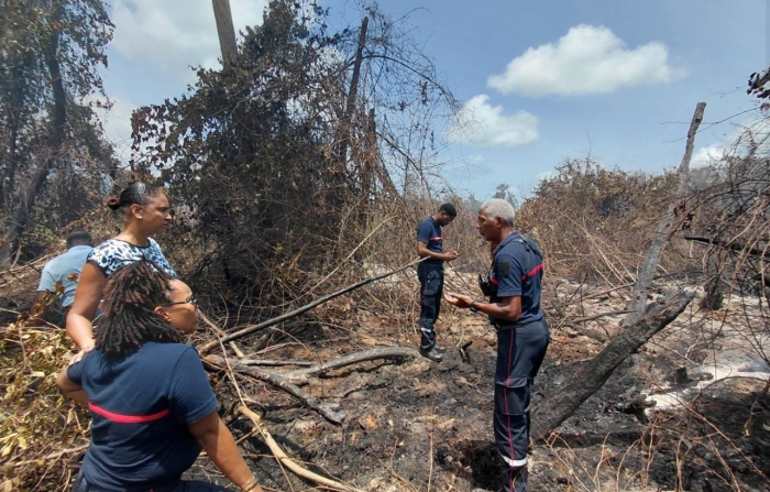 incendie Ducos.jpg