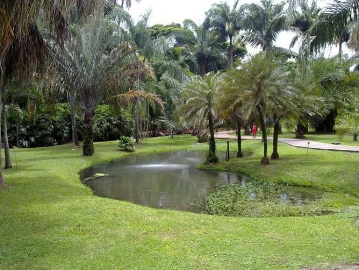     4 jardins de Martinique distingués !

