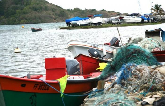     Braconnage d'espèces protégées : le comité des pêches réagit 

