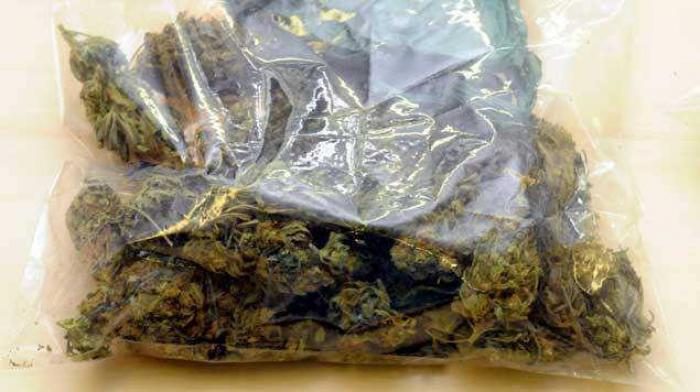     Cannabis : trois trafiquants présumés en comparution immédiate

