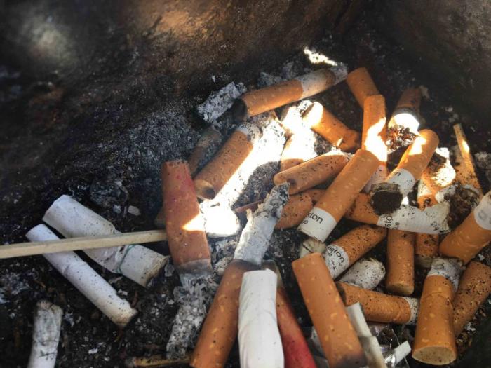     Journée sans tabac : 18 mois après l'arrivée du paquet neutre la consommation reste stable en Martinique

