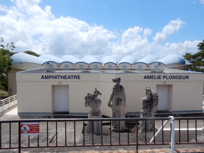     L’amphithéâtre du lycée de Bellevue baptisé "Amphithéâtre Amélie Plongeur"

