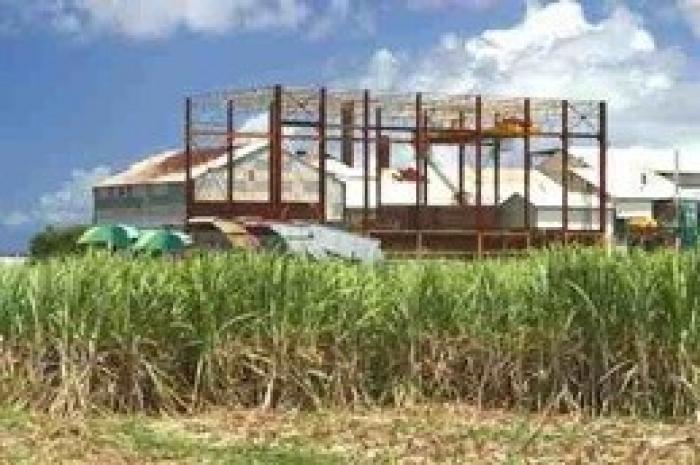     La sucrerie de Grand-Anse prête pour un campagne sucrière courte 

