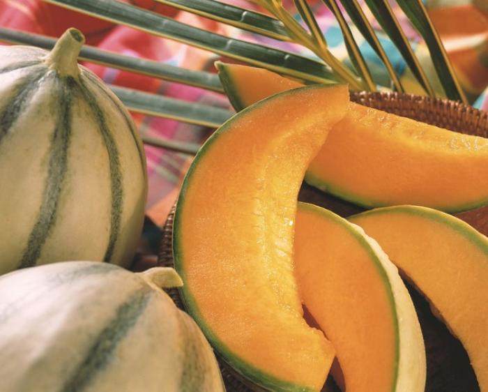     Le melon de Guadeloupe est en mal d’export 

