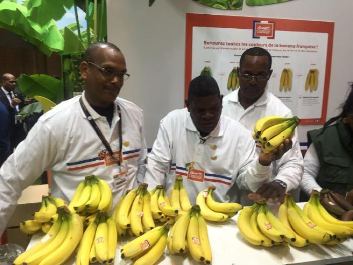     Le prix de la biodiversité remis à des planteurs de banane à Paris

