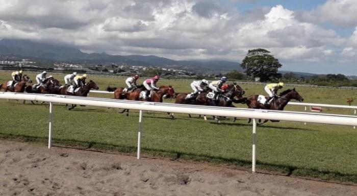     Les courses de chevaux de la Martinique plus retransmises sur la chaîne nationale Equidia

