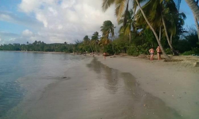     Les plages de Martinique plutôt que les pistes de ski

