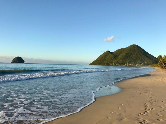     #MartiniqueChallengeLittoralMagnifique : un challenge pour référencer les plages sans sargasses

