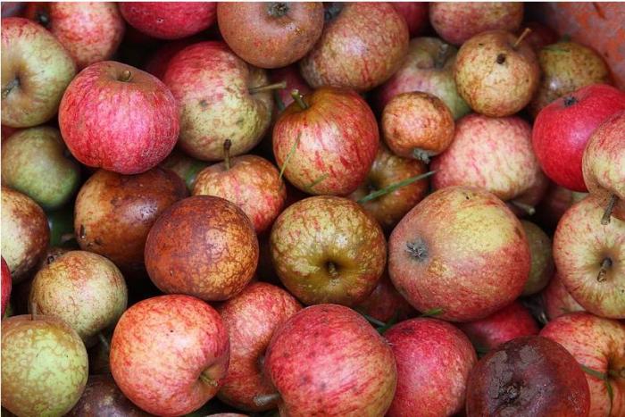     À Cuba, les pommes de la discorde symboles de la forte inflation

