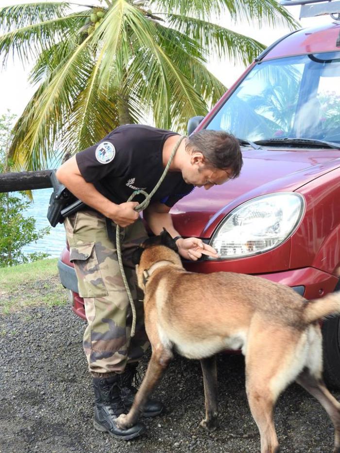     Opération de sécurisation des gendarmes à Trinité

