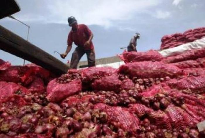     Plus de 1,6 tonne d'ail de contrebande saisi en République Dominicaine

