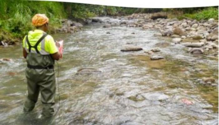     Qualité de l'eau en Martinique : l'inquiétant bilan de l'ODE

