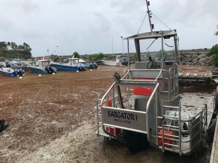     Sargasses : situation de crise sur le port de pêche de Saint-Félix

