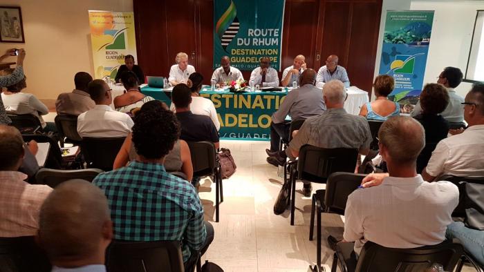     Un comité de pilotage mis en place pour la Route du Rhum-Destination Guadeloupe

