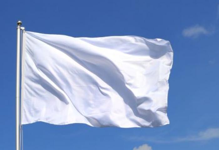     Un drapeau et un hymne pour la Martinique : la consultation qui divise

