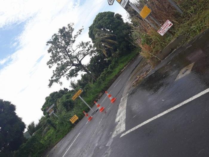     Un gros arbre est tombé sur la route de Régale à Rivière-Pilote la route est barrée

