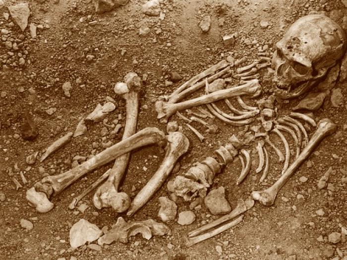     Un squelette inconnu retrouvé au Moule 

