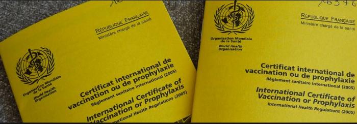     Une femme meurt de la fièvre jaune en Guyane


