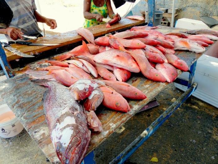    Une halle à poissons dérobée à Anse-Bertrand

