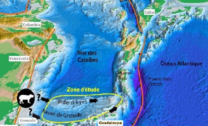     Une mission océanographique d'envergure dans les Caraïbes

