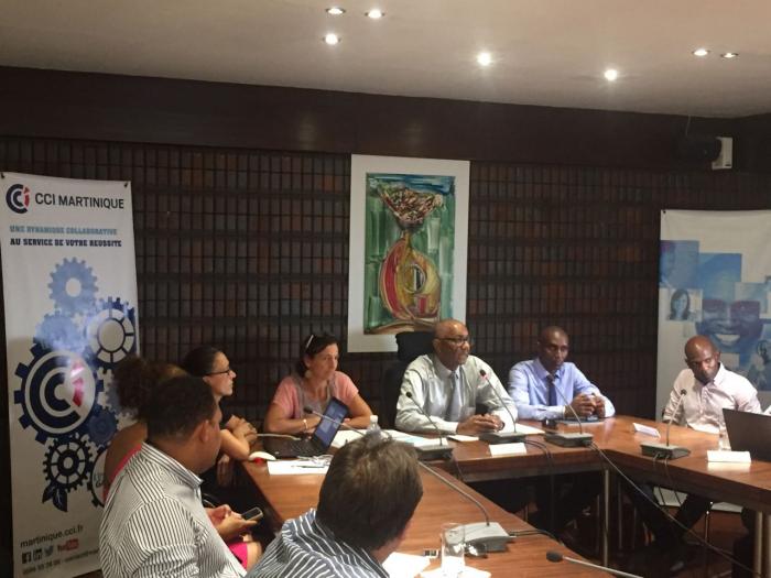     Une étude s'intéresse à l'économie numérique en Martinique

