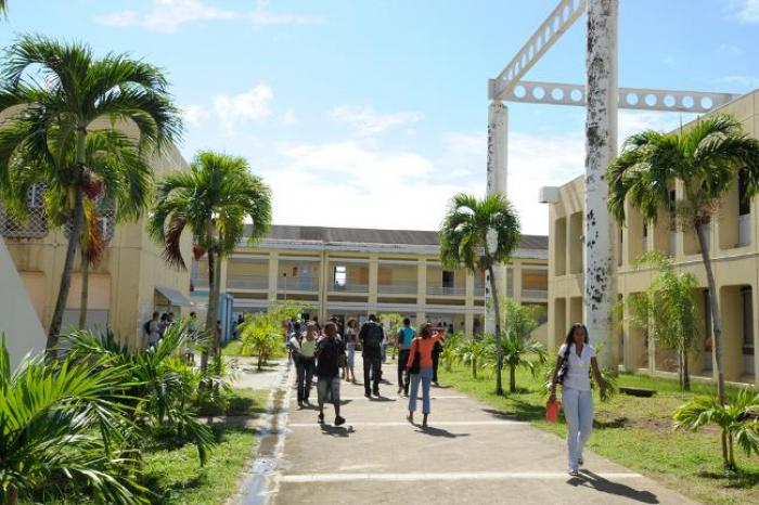     Université des Antilles : "L'idée est de rassembler les forces et réparer les erreurs du passé"

