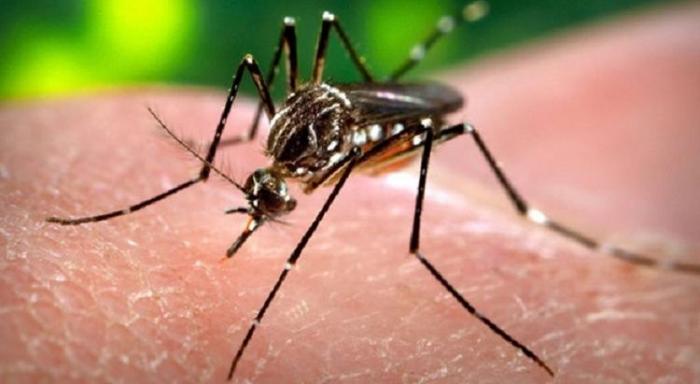     Virus Zika : le tourisme se porte mieux en Martinique

