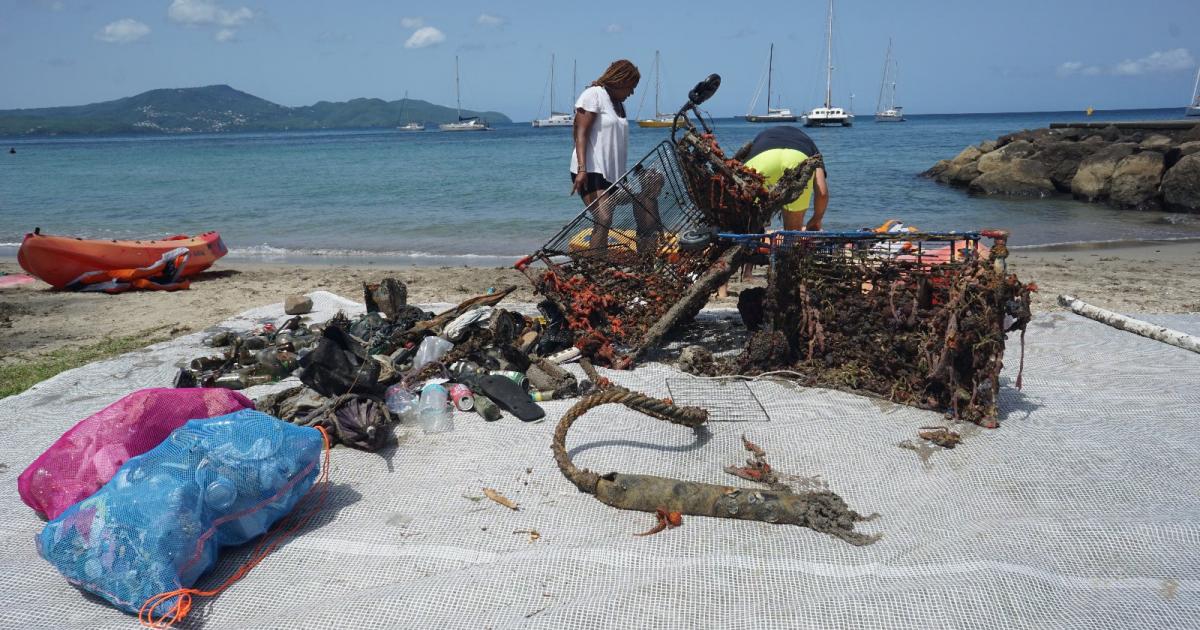     Grand nettoyage de la baie de Fort-de-France, ce samedi

