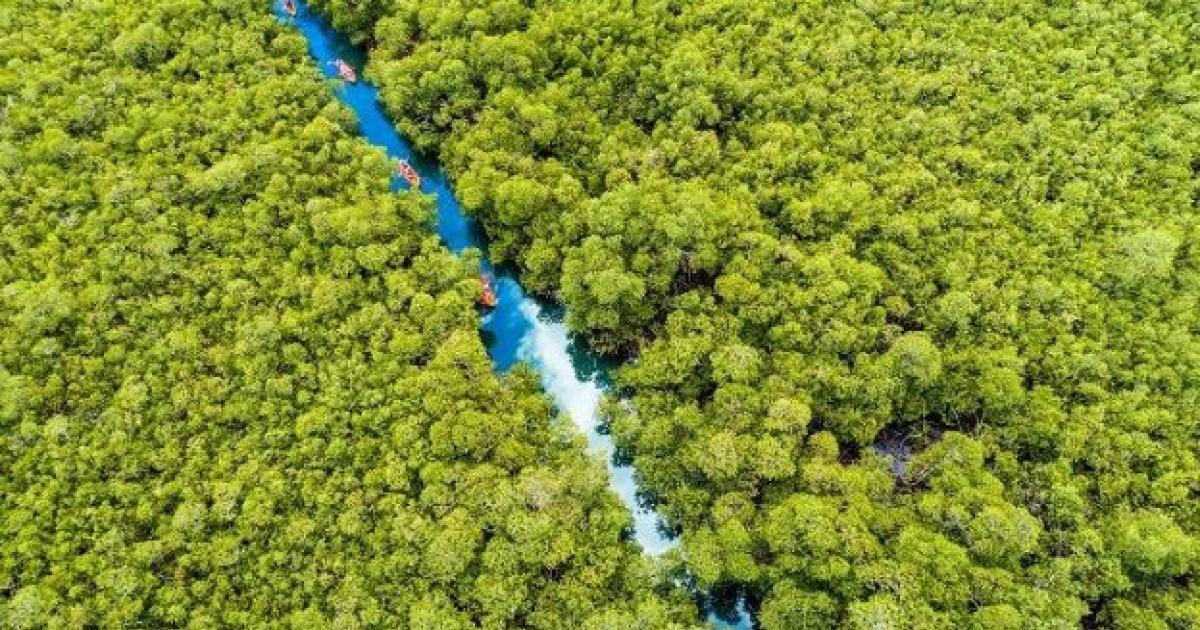     L'ODE tient son dernier forum de l'eau de l'année à Case-Pilote

