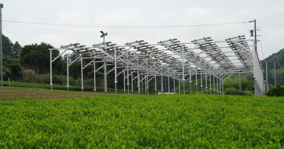     Agrivoltaïque : l'inquiétude des élus de Marie-Galante

