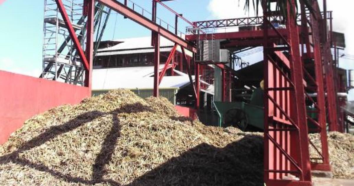     À qui appartiennent les rhums de Martinique ?

